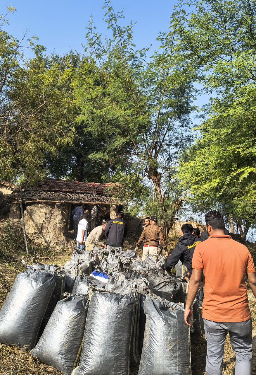 सीबीएन ने चंबल नदी के करेलिया द्वीप से 2083.400 किलोग्राम पोस्त की तस्करी की सामग्री (पोपी स्ट्रॉ) जब्त की